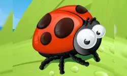 Ladybug Slide image