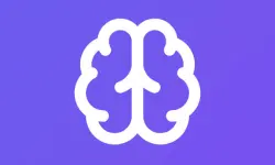 Memory Match Lite image