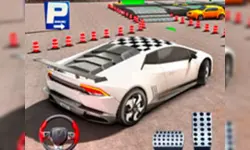 Fish Parking - Parking Master image