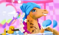 image bg Fairy Pony Caring Adventure
