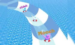 Slide io image
