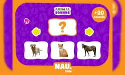 Animal Sounds image