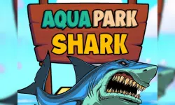 Aqua Park Shark image