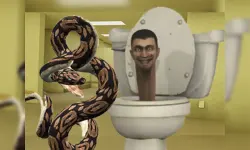 Python Snake Kill Skibidi Toilet Backrooms image