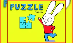 Simon Puzzle image