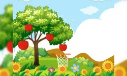 Hoops & Fruits image