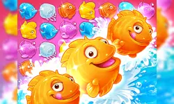 Shell Splash image