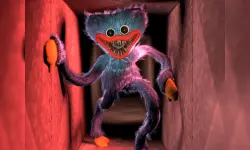 Hugie Wugie Jigsaw Puzzle Collection image