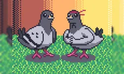 Pigeon Ascent image
