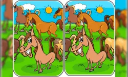 Animals Differences image
