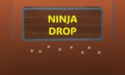 Ninja Drop image