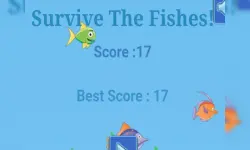 Survive The Fishes image