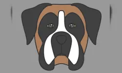 Doggy Face Coloring image