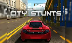 City Car Driving Simulator image