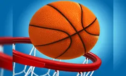 Basket 3D image