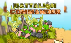 Battalion Commander image