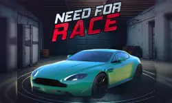 Need for Race image