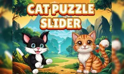 Cat Puzzle Slider image