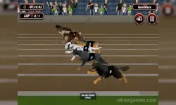 Crazy Dog Racing Simulator Games 3D image