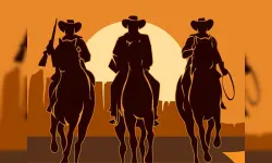 Cowboy Hidden Stars image