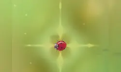 Pest Control image