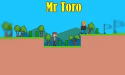 Mr Toro image