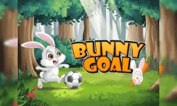 Bunny Goal image