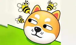 Save Dogs from Bee image