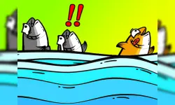 Fish Jam image