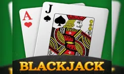 BlackJack Simulator image
