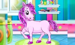 Pet Salon image