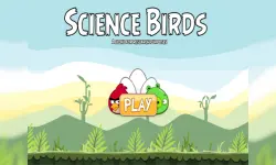 Science Birds image