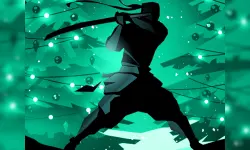 Shadow Fight image
