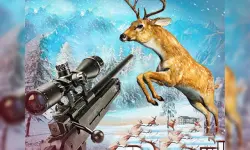 Deer Hunting Adventure:Animal Shooting Games image