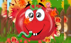 Tomato Explosion image