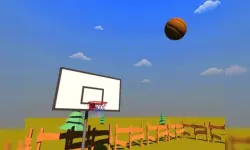Basketball School image