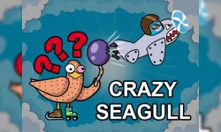 Crazy Seagull image