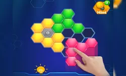 Hexa Block Puzzle image