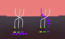 Twisted Rods image