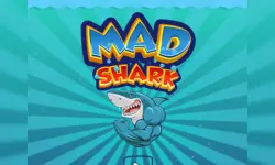 Mad Shark image