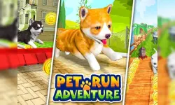 Pet Run Adventure Puppy Run image