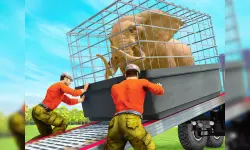 Cargo Truck: Transport & Hunt image