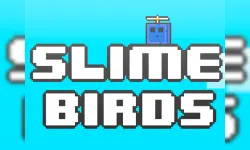 Slime Birds image