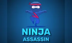 Ninja Assassin image