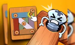 Wood Bolts Nuts Screw Pin Puzzle image