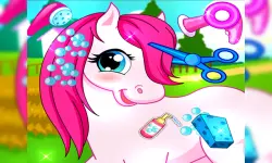 Horse Pet Salon 3D image