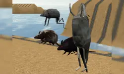 Mouse Race Islands image