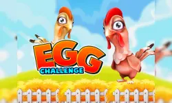 Egg Challenge image