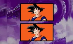 Dragon Ball 5 Difference image