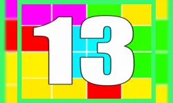 13 image